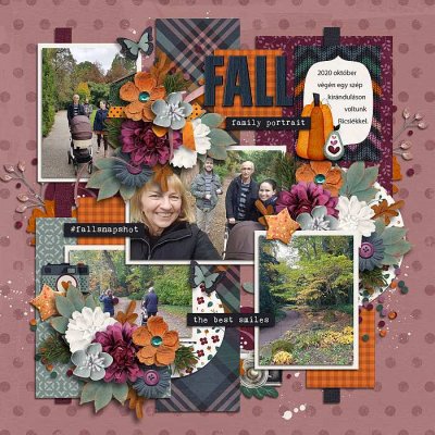 Fall snapshots