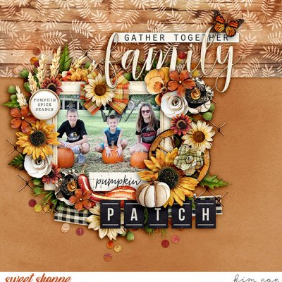Family Pumpkin Patch