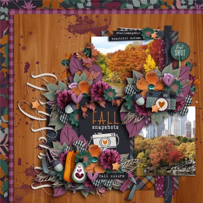 Fall Snapshots