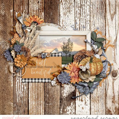 Beautiful Fall