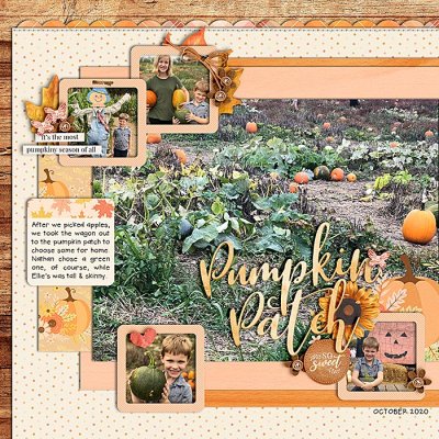 Pumpkin Patch