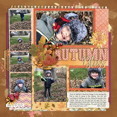 Autumn Bliss