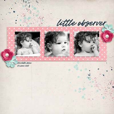 Little Observer