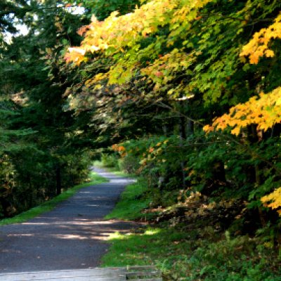 Shutterbug Shakedown #31- Fall Colors