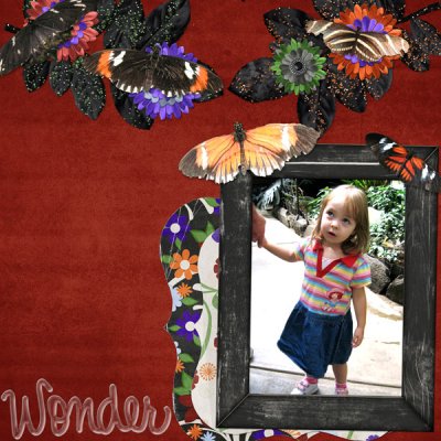 wonder