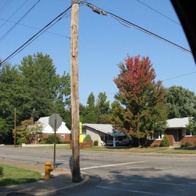 Shutterbug Shakedown 31