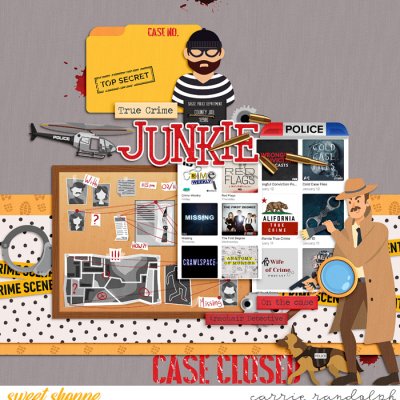 True Crime Junkie