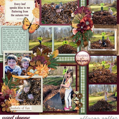 2020 Leaf Pile left