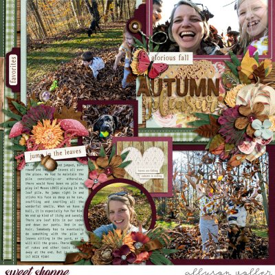 2020 Leaf Pile right