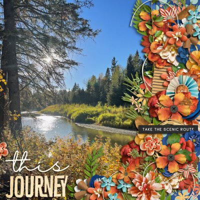 This Journey