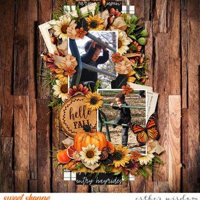 Hello Fall from the Park