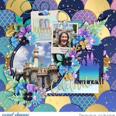 Disneyland 60