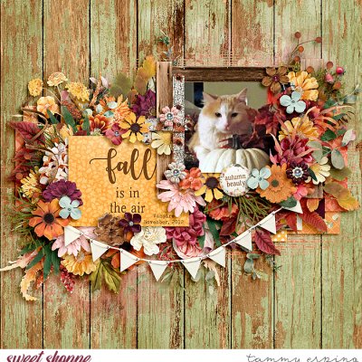 fall is in the air