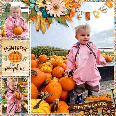 Pumpkin Patch