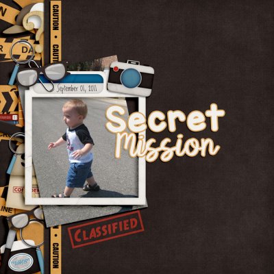 Secret Mission