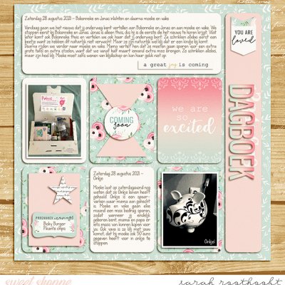 Dagboek page 8