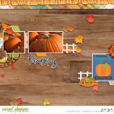 Picking the Perfect Pumpkin