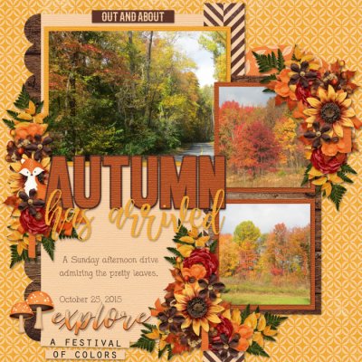 Autumn Has Arrived