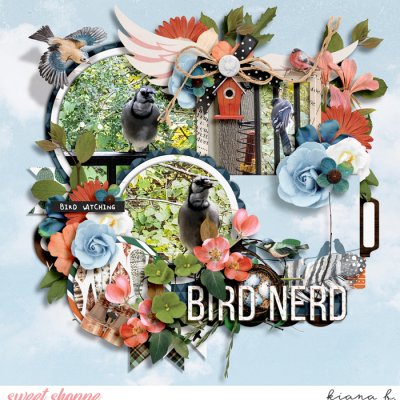 Bird Nerd
