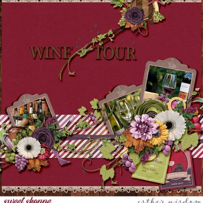 Wine Tour