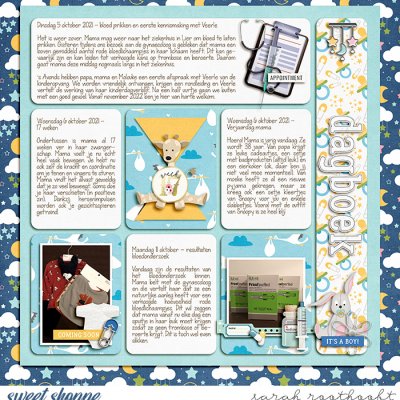 Dagboek page 22