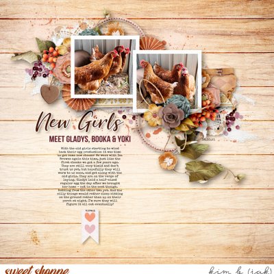 New Girls