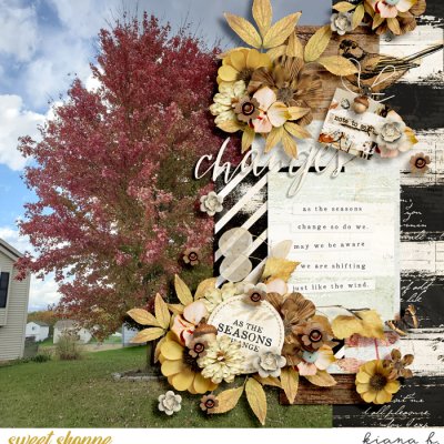 Seasons Change