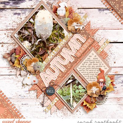 Autumn Splendor