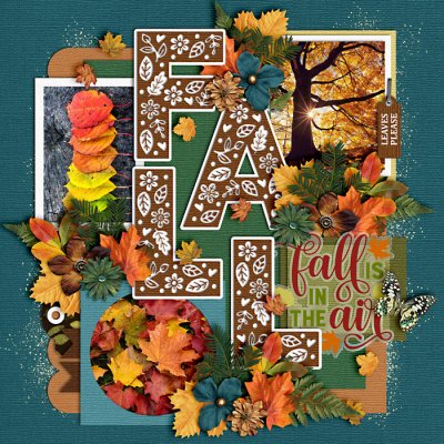 Fall is in the Air
