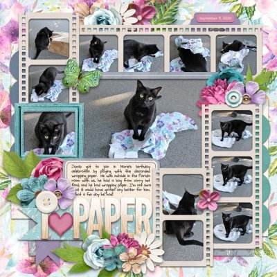 I Heart Paper