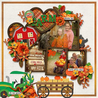 Pumpkin Patch