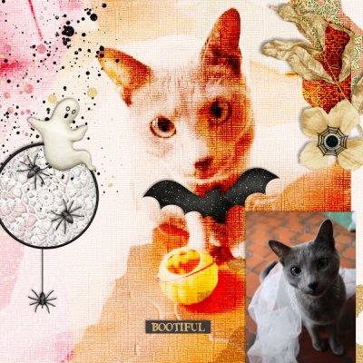 #17 blended bg
