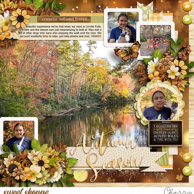 Autumn Season