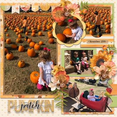 Pumpkin Patch (p2)