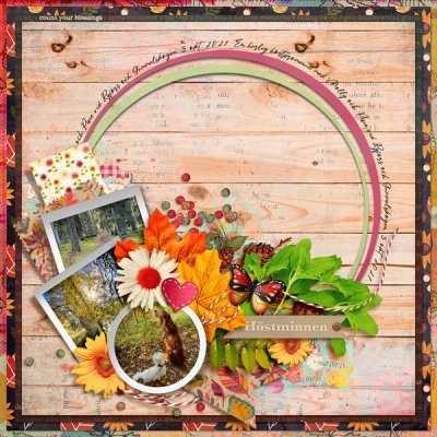 Autumn Memories