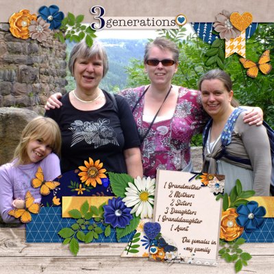 3 Generations