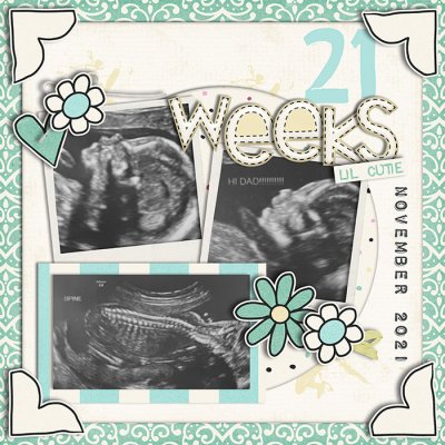 Kelly 21 Weeks