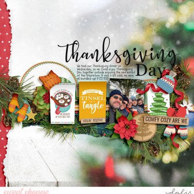 Thanksgiving Day