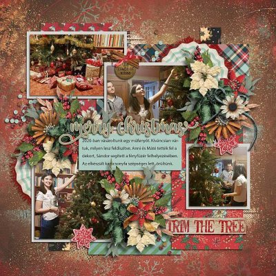 A bush Christmas