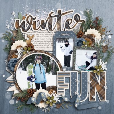 Winter Fun