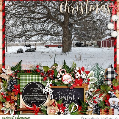 Christmas Cows