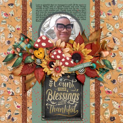 The Nifty Pixel - An Autumn Tale - Count your blessings