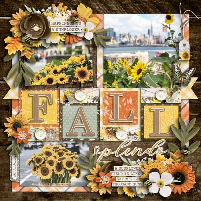 Fall Splendor