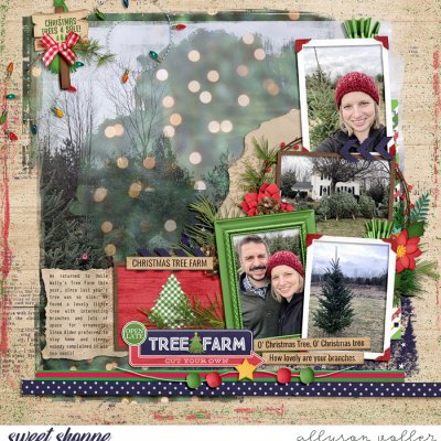 Tree Farm 2021