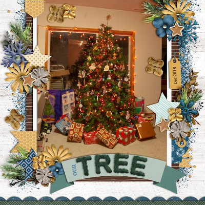 Our Tree