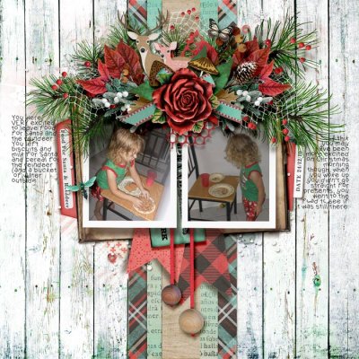 Food For Santa