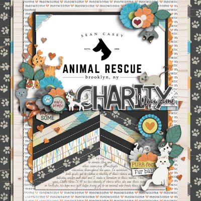 Meowsome Charity