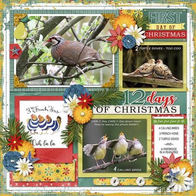 12 DAYS OF CHRISTMAS