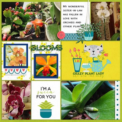 Crazy Plant Lady