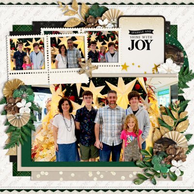 Christmas Photos 2021